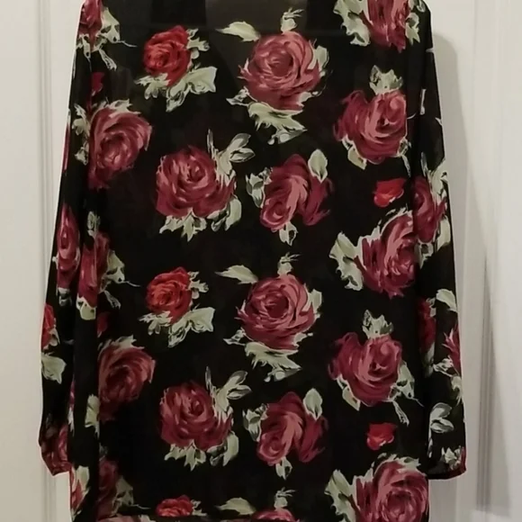 Beautiful Impressions Sheer Long Sleeve Blouse - Picture 5 of 7